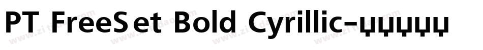 PT FreeSet Bold Cyrillic字体转换
